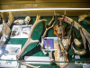 1529IMG_8694