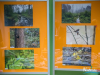 1533IMG_8706
