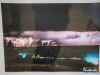 1534IMG_8710