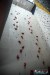 1046IMG_2760