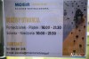 1047IMG_2763