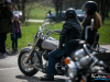 1337img_0079
