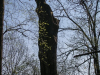 1140img_9257
