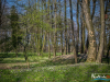 1146img_9271
