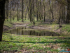 1151img_9284