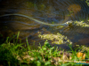 1153img_1650_04_03_2017
