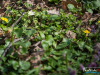 1154img_9296