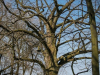 1155img_9301