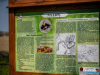 1156img_9303