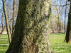 1204img_9314