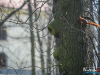 1215img_9328