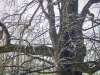 1219img_9332