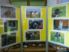 1819img_2068