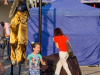 1732img_0737_09_11_2016