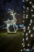1725IMG_7037