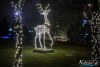 1726IMG_7039