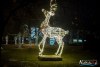 1729IMG_7078