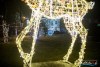 1729IMG_7080