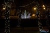 1731IMG_7087