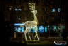 1734IMG_7128