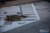1446IMG_0964