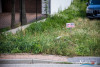 1454IMG_1008