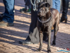 1217img_7960