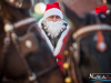 1232img_8065