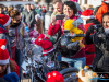 1237img_8072