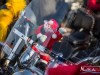 1238img_8075