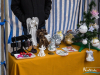 1311img_3798