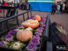 1315img_3846