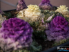 1316img_3854