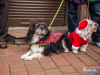 1345img_4080