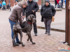 1347img_4095