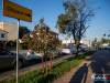 1739_img_9033_wynik