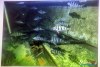 1636IMG_0142