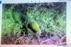 1636IMG_0143