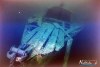 1637IMG_0147