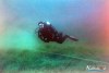 1639IMG_0149