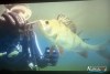 1644IMG_0161