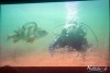 1644IMG_0163
