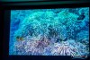 1718IMG_0214