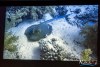 1719IMG_0217