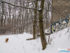1550_img_6700_wynik