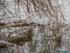 1611_img_6762_wynik