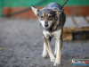 1510img_6644_wynik