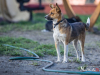 1510img_6645_wynik