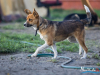 1510img_6646_wynik
