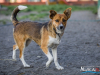 1517img_6647_wynik